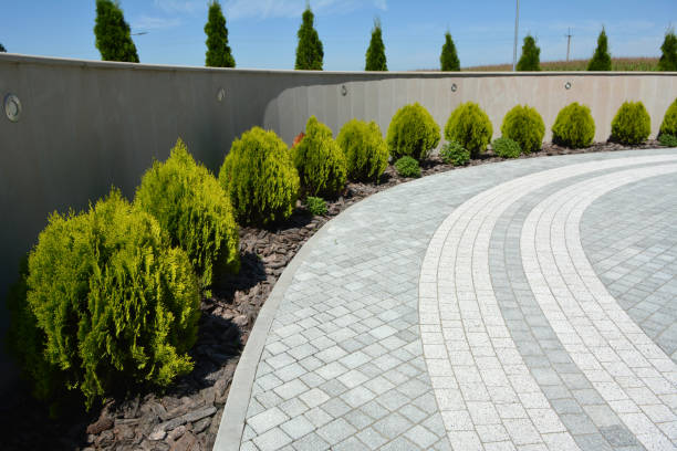 Reasons to Select Us for Your Driveway Paving Requirements in Phelan, CA